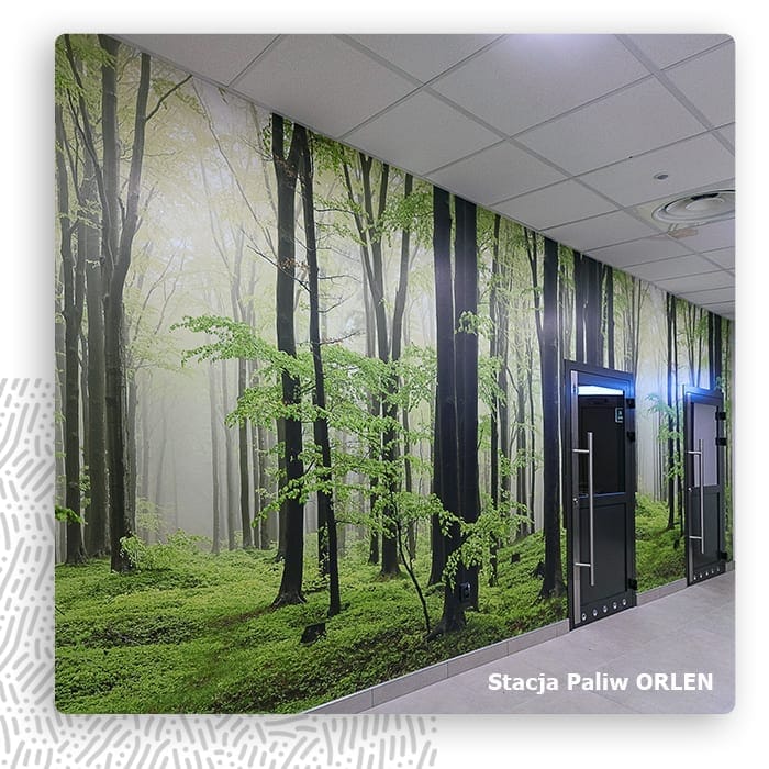 Fototapeta z mglistym lasem w korytarzu stacji paliw Orlen